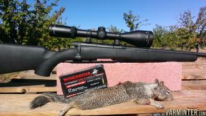 17-Winchester-Super-Magnum-3.jpg
