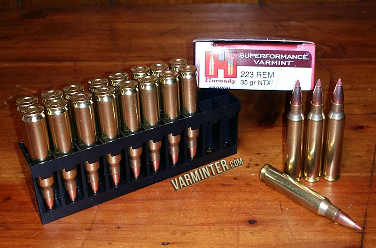 hornady 223 ammo 35 grain ntx at 4000 fps varmint small game