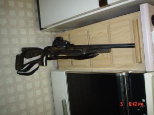 Eotech 10 22