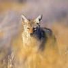 Oct. hunt - last post by prkrgrp