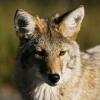 test - last post by Rich V