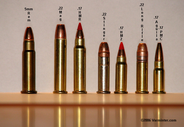17 caliber hmr