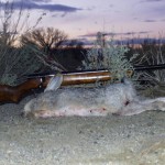 Winchester Model 43 - 218 Bee - Jackrabbit