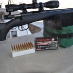 Savage B.MAG - .17 Win Super Magnum