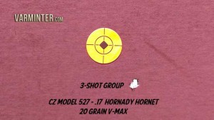 CZ Model 527 - .17 Hornet - 3-Shot Group - 100 Yards