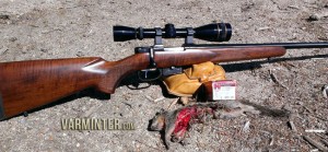 One of the first Ground Squirrels taken with the CZ 17 Hornet.