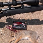 Savage B.MAG in17 WSM - Cottontail Rabbit