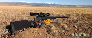 NE-California-Ground-Squirrel-Hunt-Report-17WSM-1