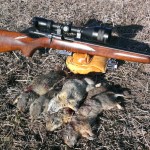 CZ Model 527 Varmint with some Ground Squirrels