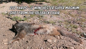 232 Yard Shot on a Ground Squirrel from the Idleback Chair