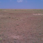 Prairie Dog Pasture with the Results of our Hunt