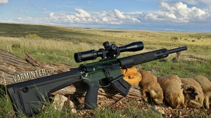 The Franklin Armory F17-L with a few prairie dogs in Northern Arizona.