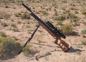 Prairie dog taken with my .25 cal Cricket rifle at a lasered 97 yards. Head shot. 