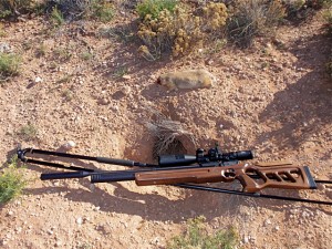 Prairie Dog dropped at 71 yards.