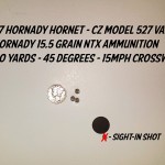 3-Shot Group at 90 Yards with the Hornady 15.5 Grain NTX - .17 Hornet 