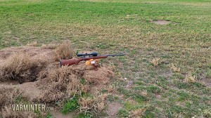 CZ Model 527 in .17 Hornet with the Ground Squirrel taken at 87 yards.