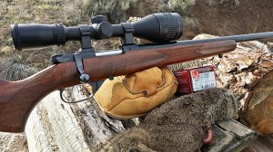 Ground Squirrel taken at 187 yards with the lead free .17 Hornet ammo.