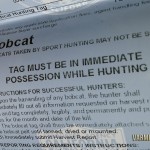 California Bobcat Tag