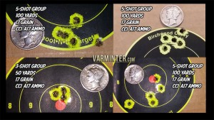 Savage A17 17HMR Groups