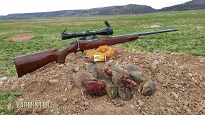 A handful of the numerous squirrels killed with the Armscor .22 Magnum ammunition