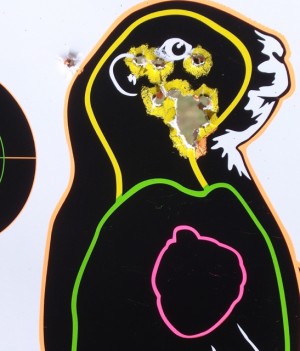 Two shots each on the head, from 45, 55, 65, 75, 85, 95, and 105 yards.