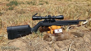 Ground Squirrel taken with the Magpul stocked 10/22