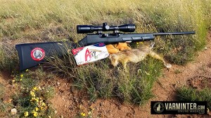 Savage A17 17HMR Rifle with a Prairie Dog
