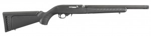 The New Ruger Takedown with Target Barrel