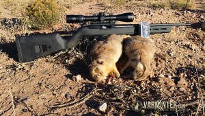 Two Prairie Dogs Taken with the Magpul X-22 Stocked 10/22
