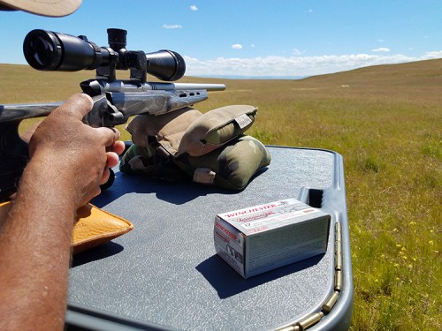 Taking aim at a distant ground squirrel with the Savage B.MAG.