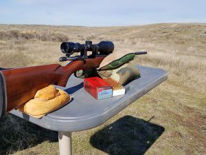 Shooting Groups with the 25 Grain Hornady Ammo