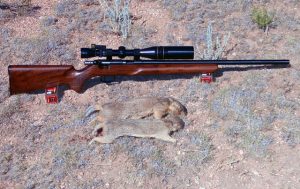Anschutz 1517 HB - 17HMR with Two Prairie Dogs 