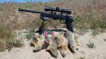 Anschutz 17P with a Handful of Ground Squirrels