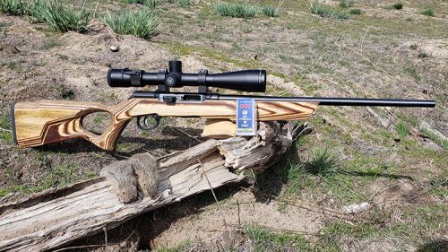 Savage A17 in 17 Mach2 in a New Boyds Spike Camp Stock