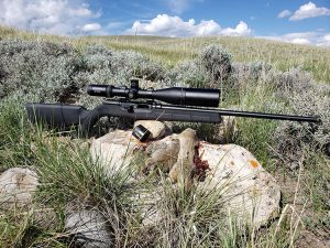 Hunting Montana for Richardson's Ground Squirrels