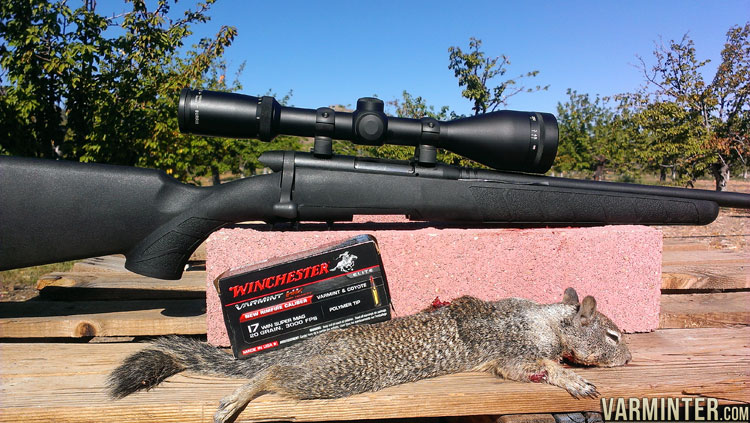 Small Varmints Can You Shoot Varmints With A 357? – IYYCYC