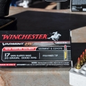 17-winchester-super-magnum-7