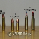 rimfire-comparison