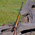 Winchester Model 43 - 218 Bee