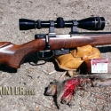 cz-17-hornet-hunt-report-6