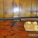 cz-model-527-17-hornady-hornet-varminter-10