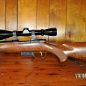 cz-model-527-17-hornady-hornet-varminter-8