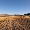 NE-California-Ground-Squirrel-Hunt-Report-17WSM-10