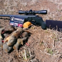 NE-California-Ground-Squirrel-Hunt-Report-17WSM-9