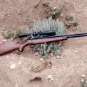 Prairie Dog taken with the Benjamin Discovery Airgun