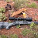 savage-bmag-17-winchester-super-mag-new-hunt-report-6