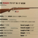 Ruger-77-17-17WSM-1