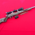 Ruger-17WSM-6