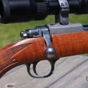 Ruger-77-17-17WSM-Close-3