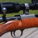 Ruger-77-17-17WSM-Close-4